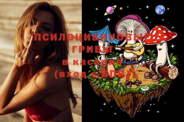 стаф Верхний Тагил