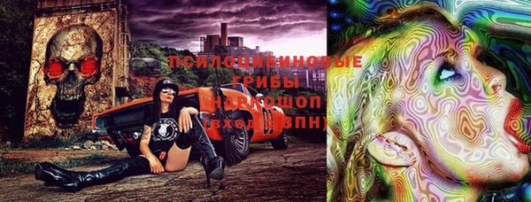 стаф Верхний Тагил