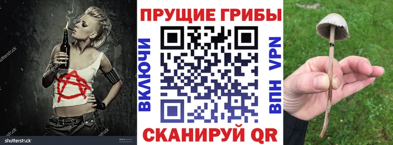 Галлюциногенные грибы прущие грибы  купить  сайты  Смоленск 